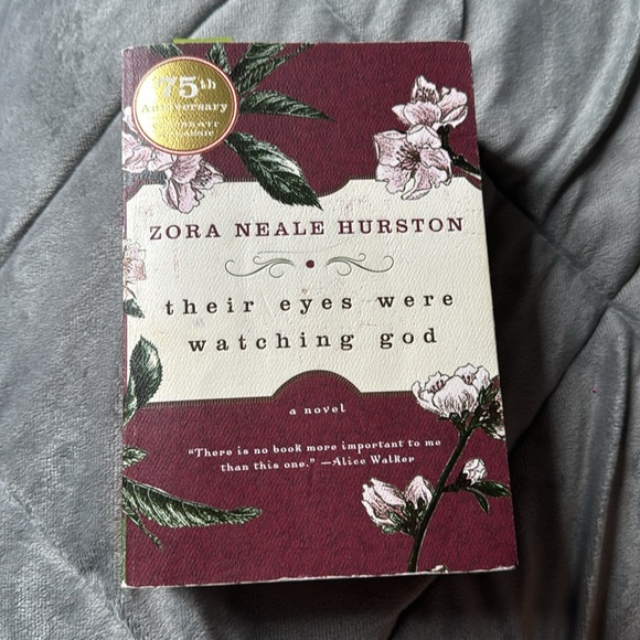 AP Lit books for student bundle - Picture 3 of 4